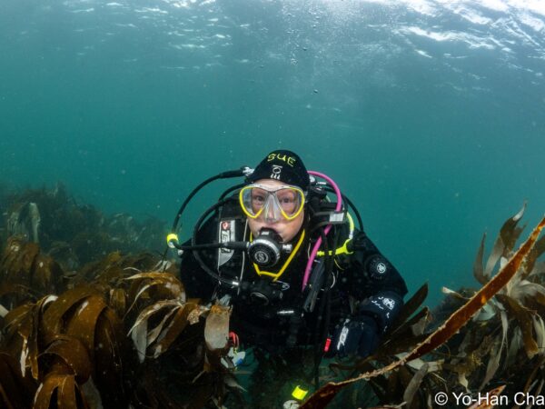 Farne Islands (Oct 2024) Dive Trip Report