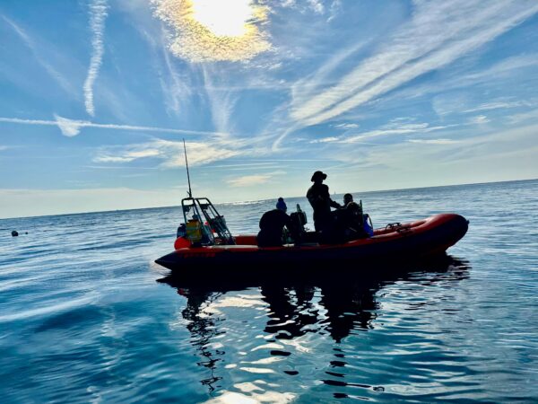 Plymouth (August Bank Holiday 2025) Trip Report